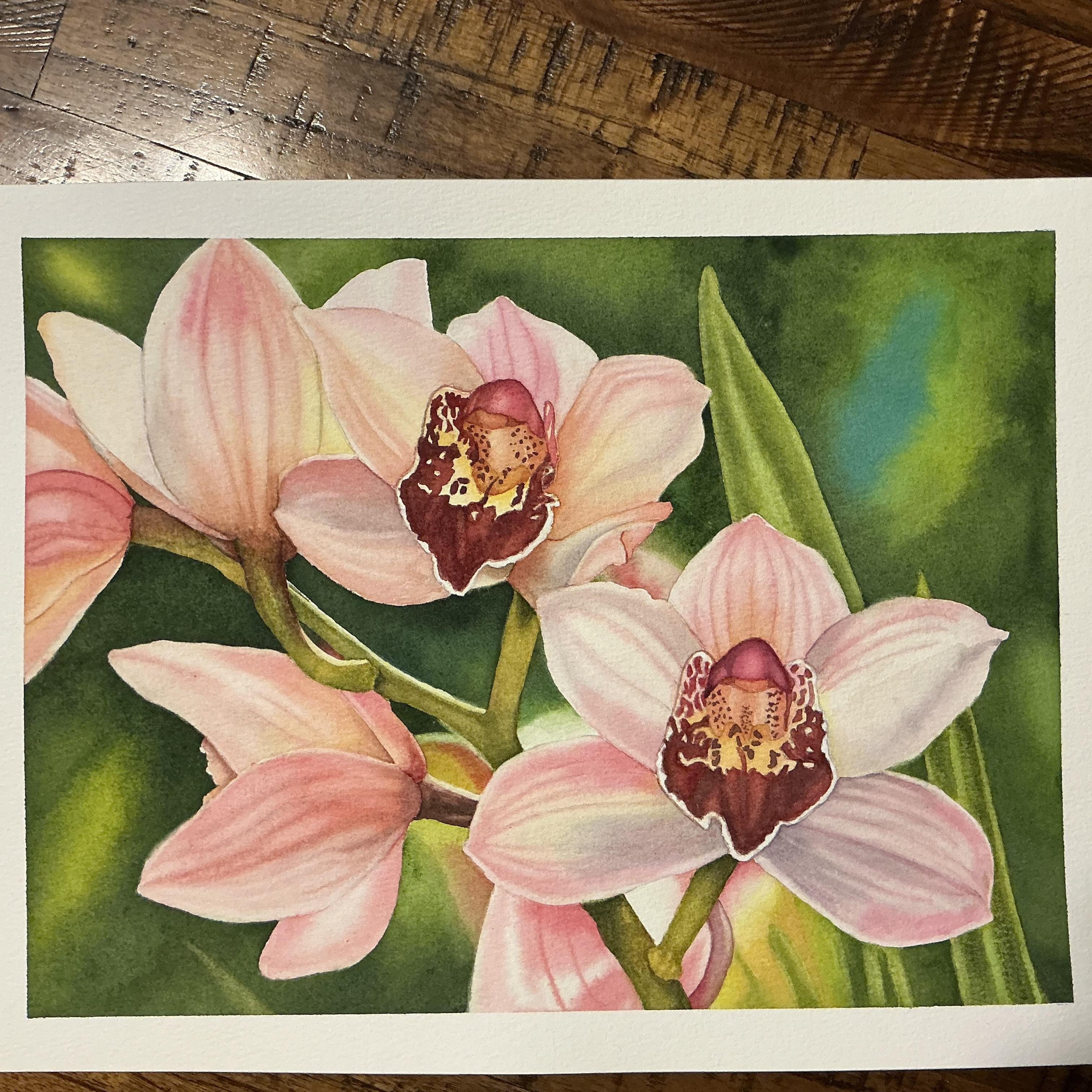 Chris’ Beautiful Orchids - student project