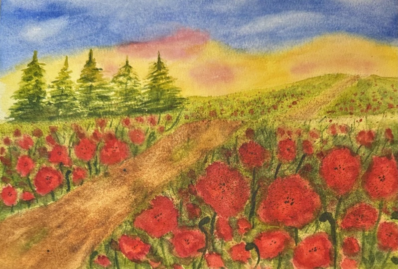 Poppy field