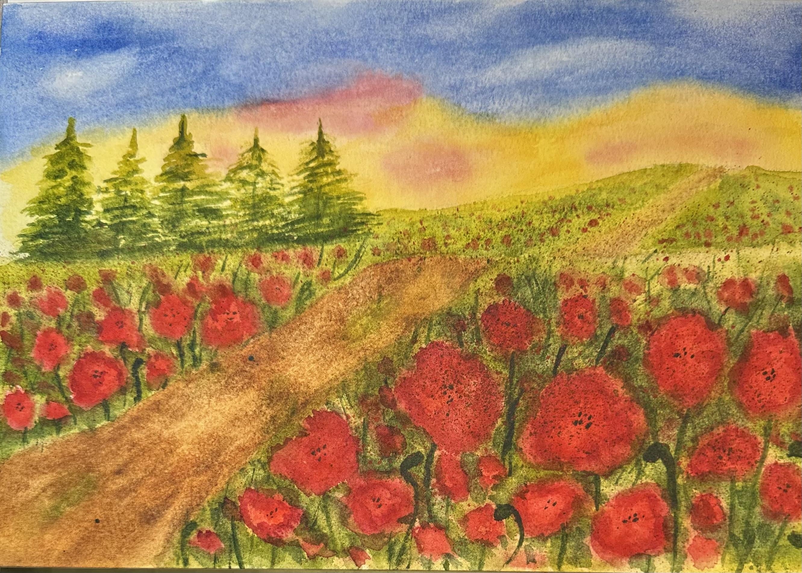 Poppy field - student project
