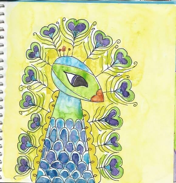 Peacock - student project