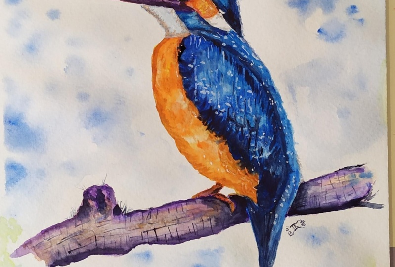 Watercolour Kingfisher