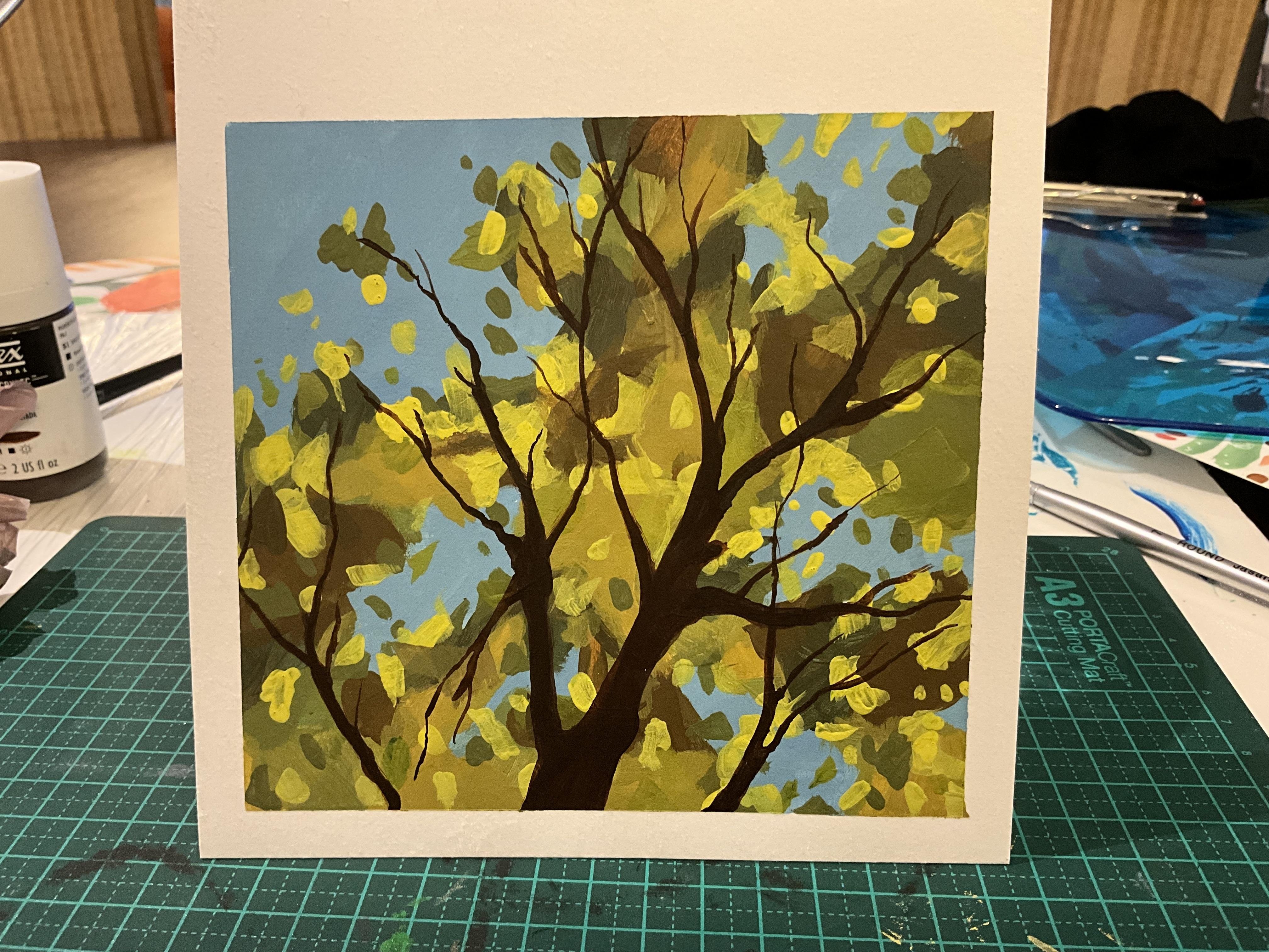 more-projects-from-class-img