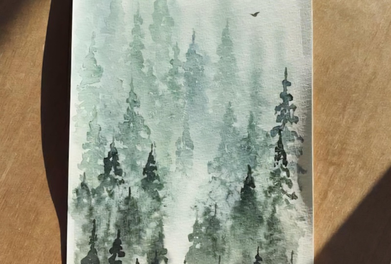 misty forest_learning process
