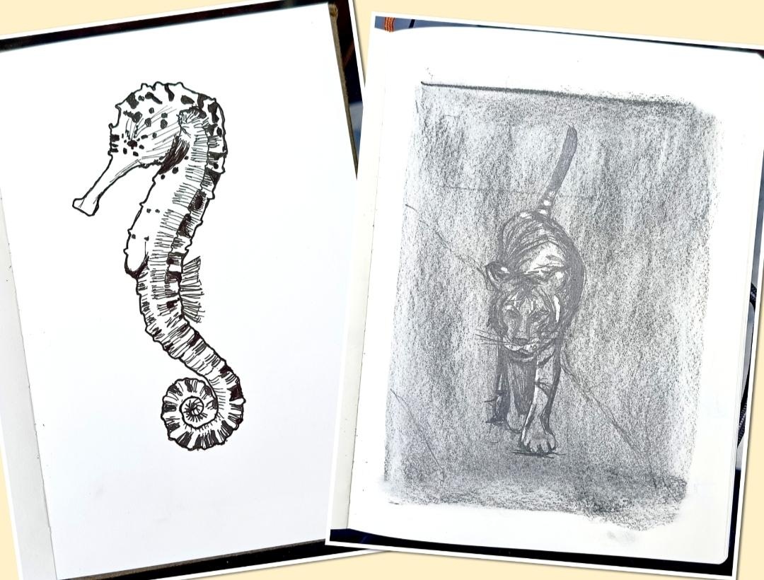 more-projects-from-class-img
