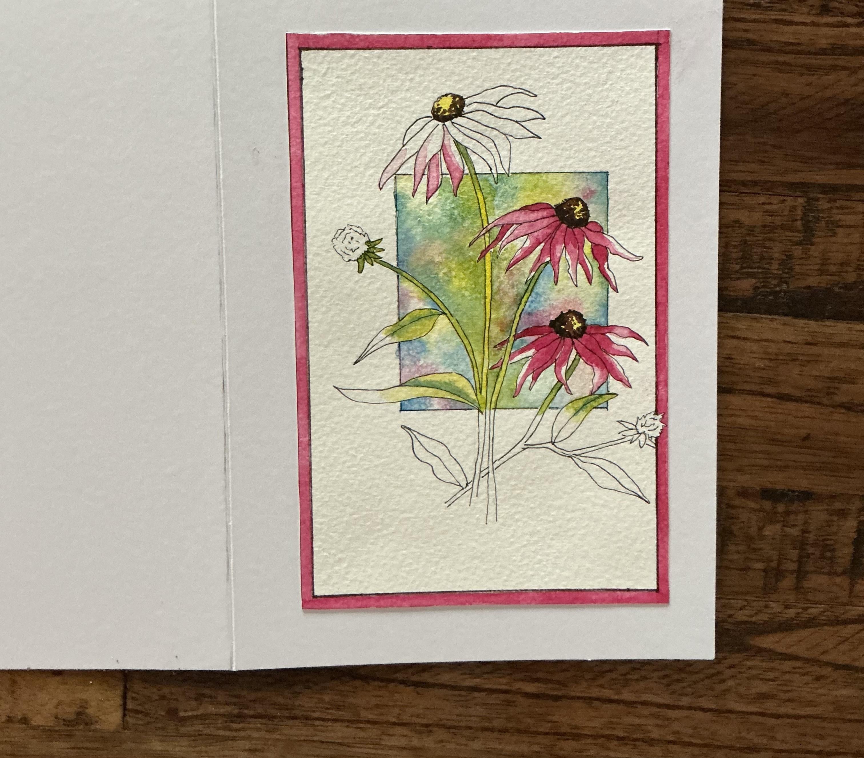 Carrie’s Echinacea - student project