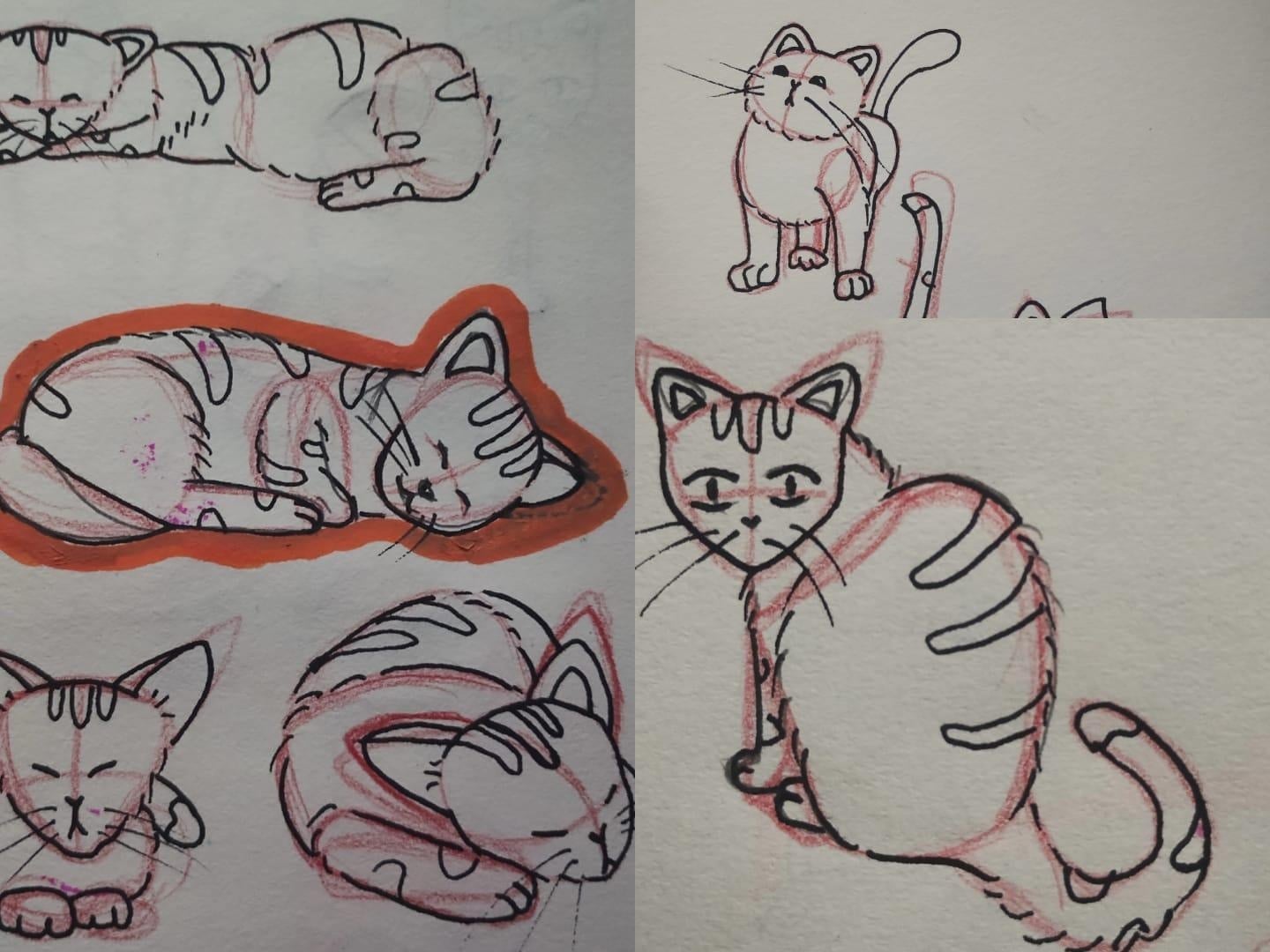 more-projects-from-class-img
