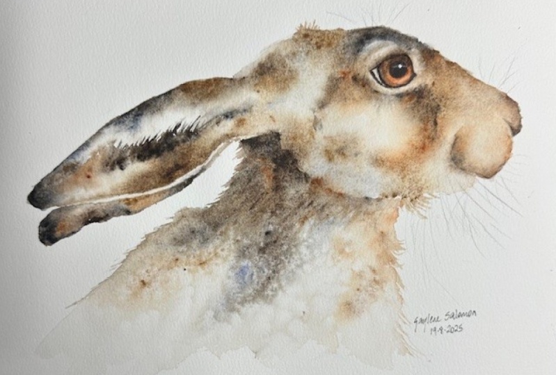 Summer Hare