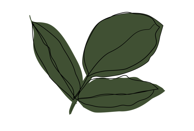 Draw One Line Art