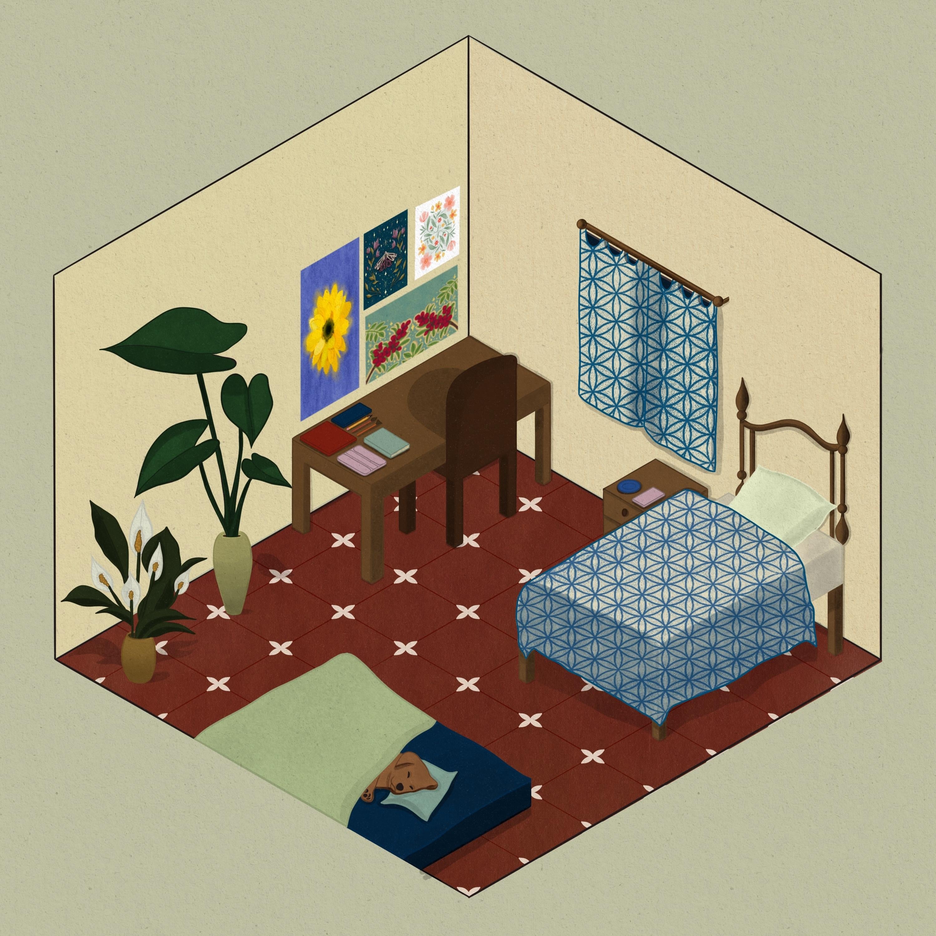 more-projects-from-class-img