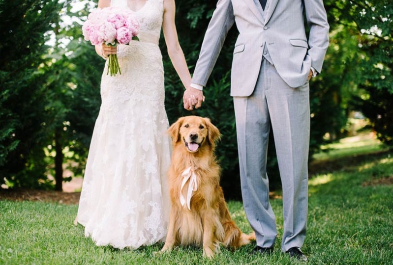 Pets at Weddings: The Dos and Don’ts