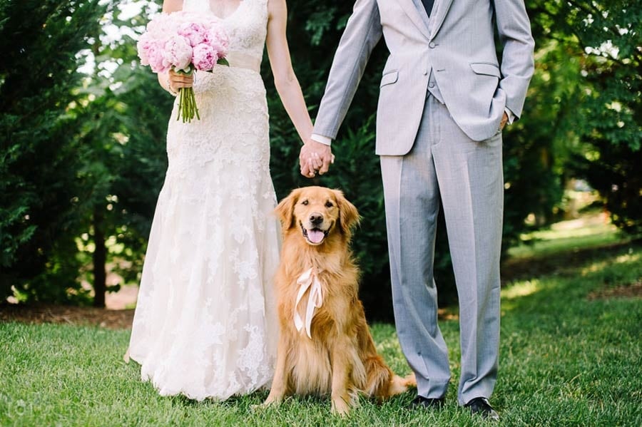 Pets at Weddings: The Dos and Don’ts - student project