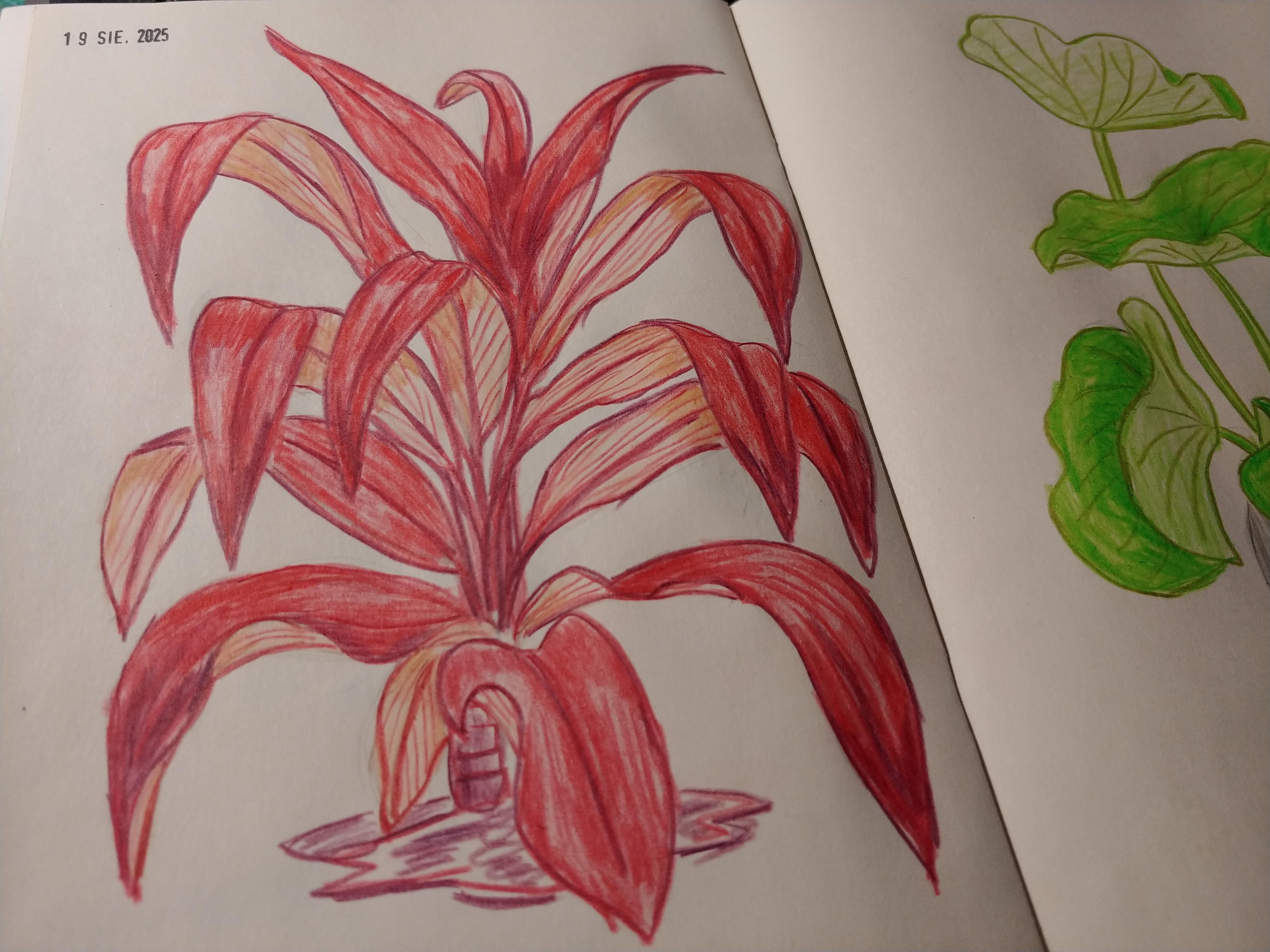 more-projects-from-class-img