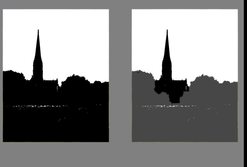 Various Contrast Studies