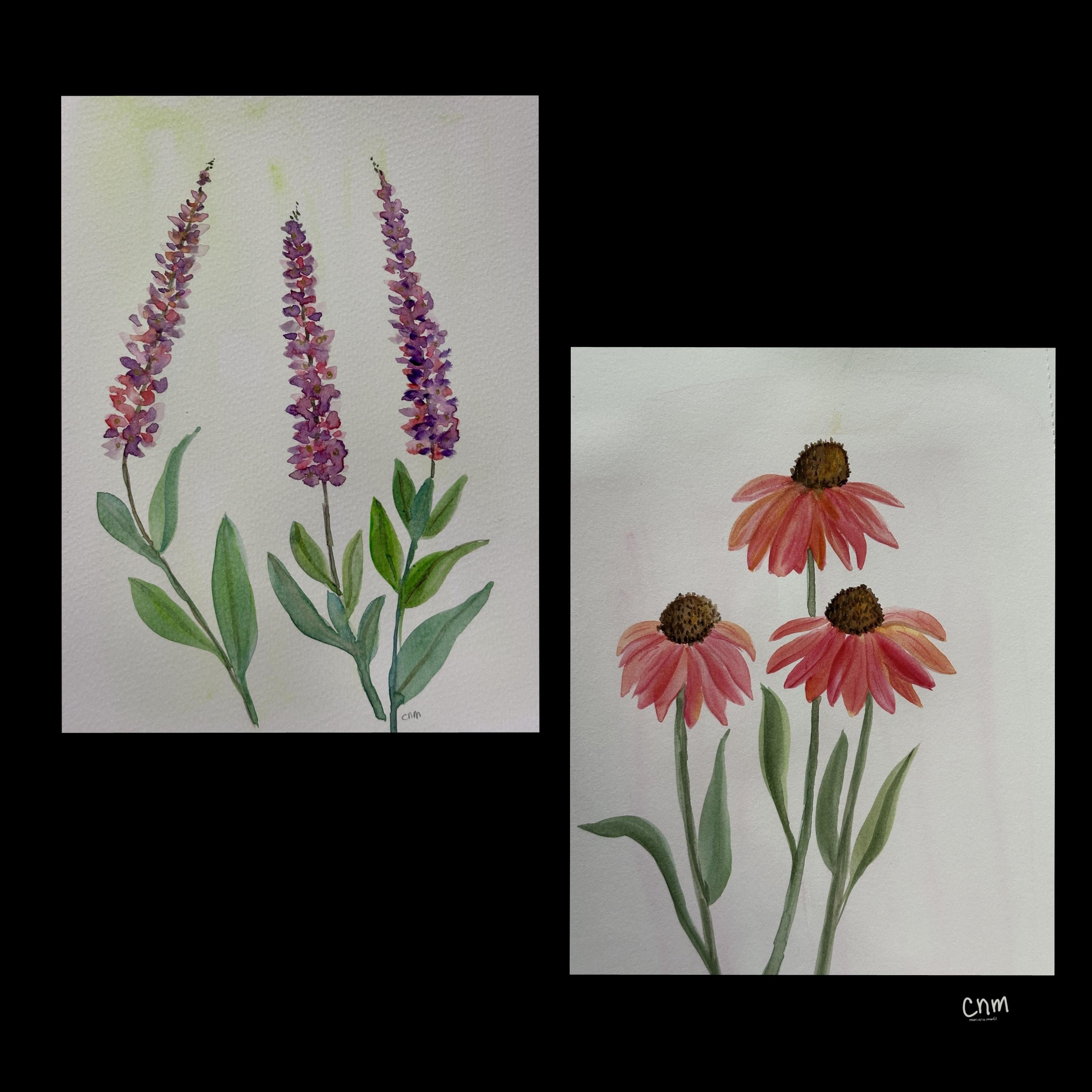 more-projects-from-class-img