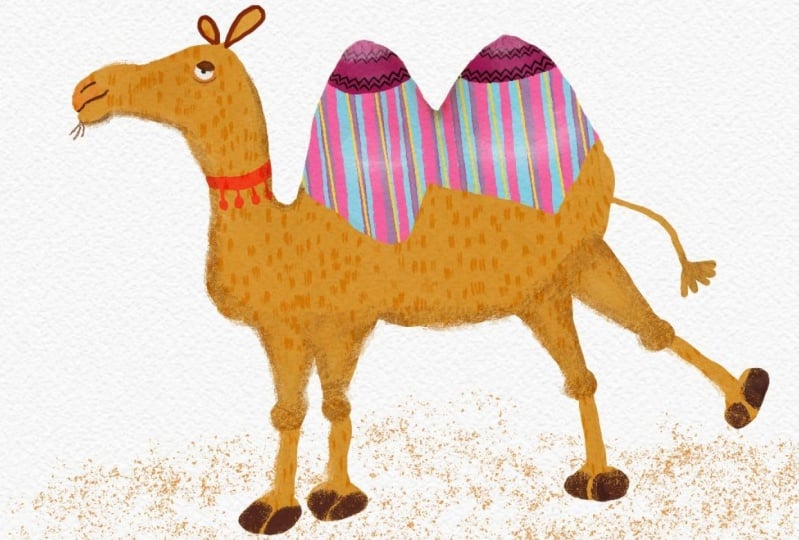 Camel and bird