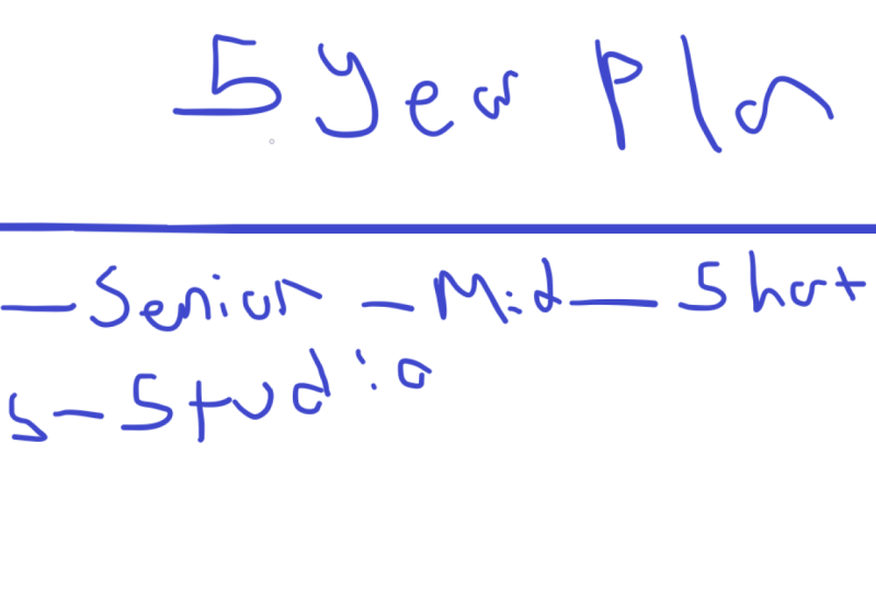 5 year plan