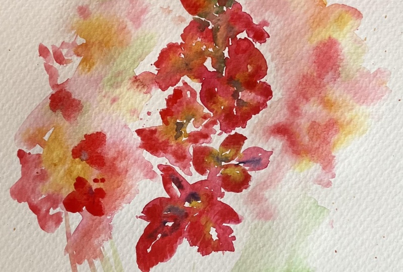 Gladiolas