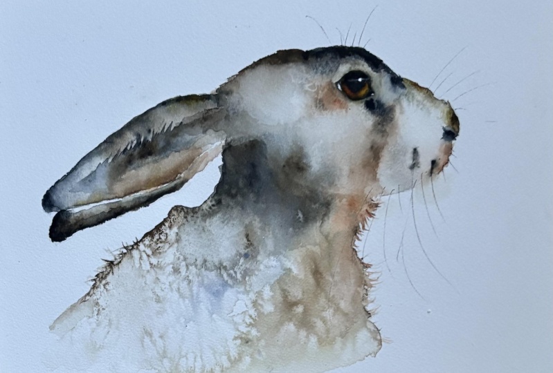 Summer Hare:master watercolour class with Jane Davies