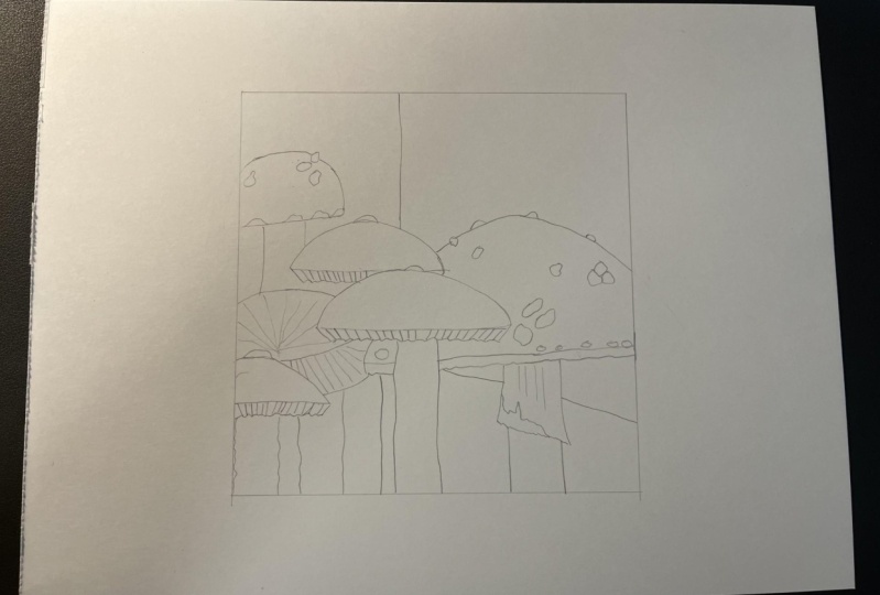 Lightbox transfer