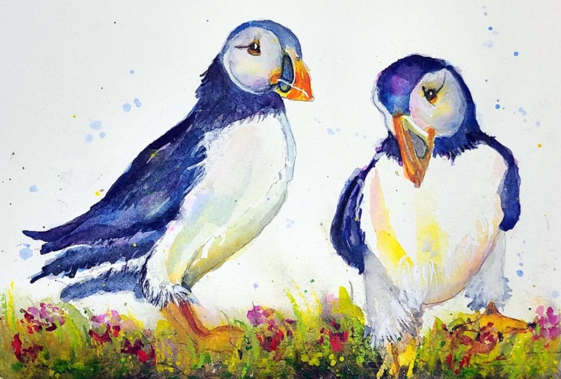 Puffins confer