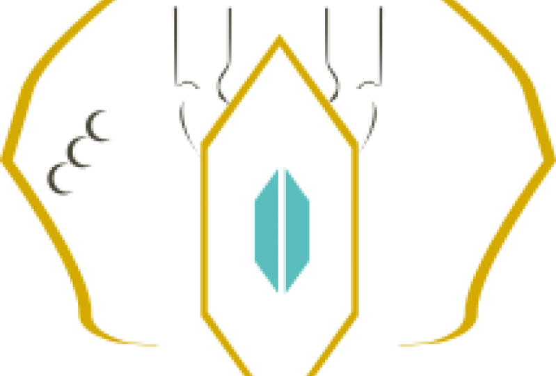 Modular Ships