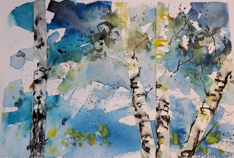 My birch trees
