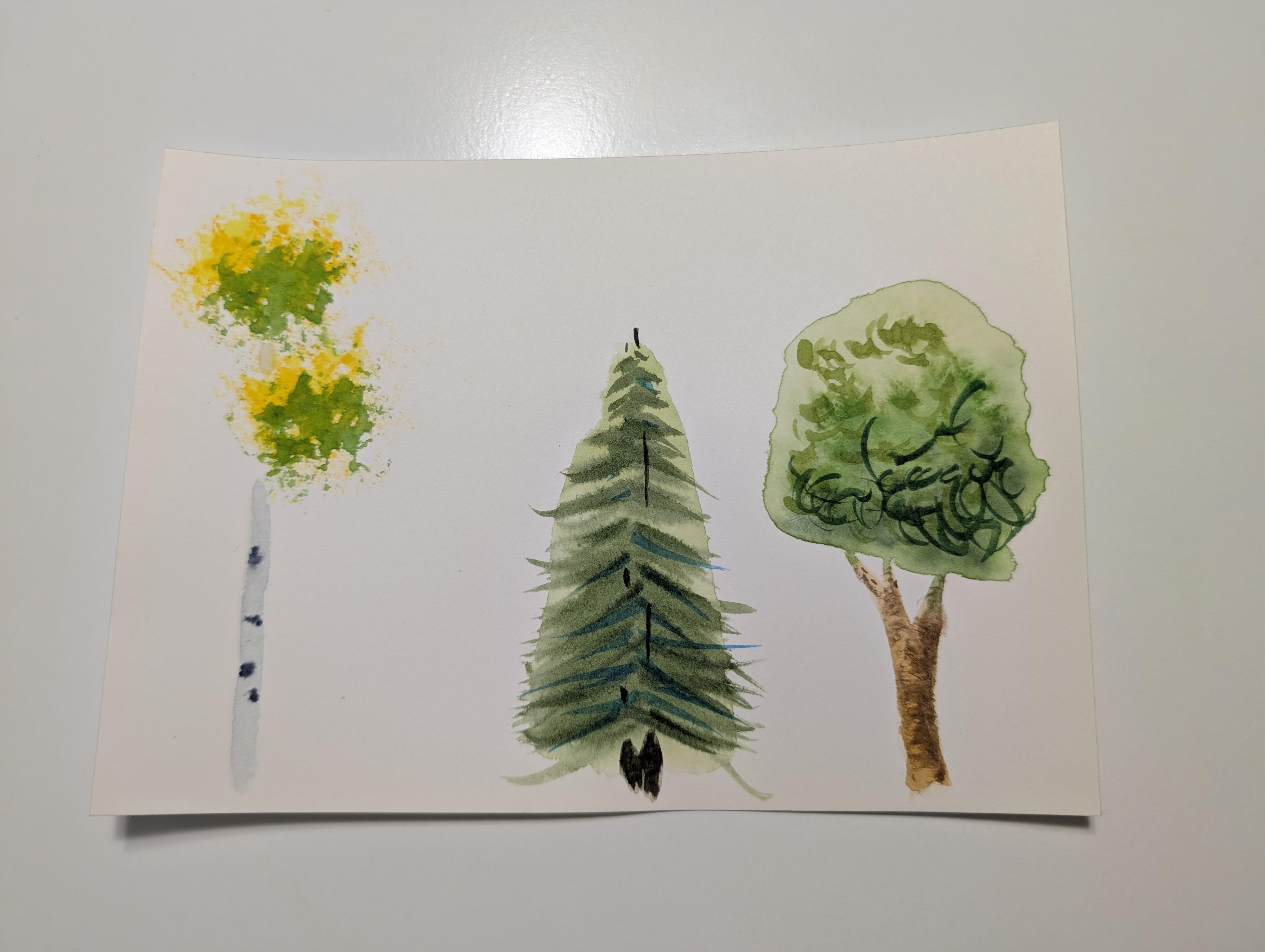 more-projects-from-class-img