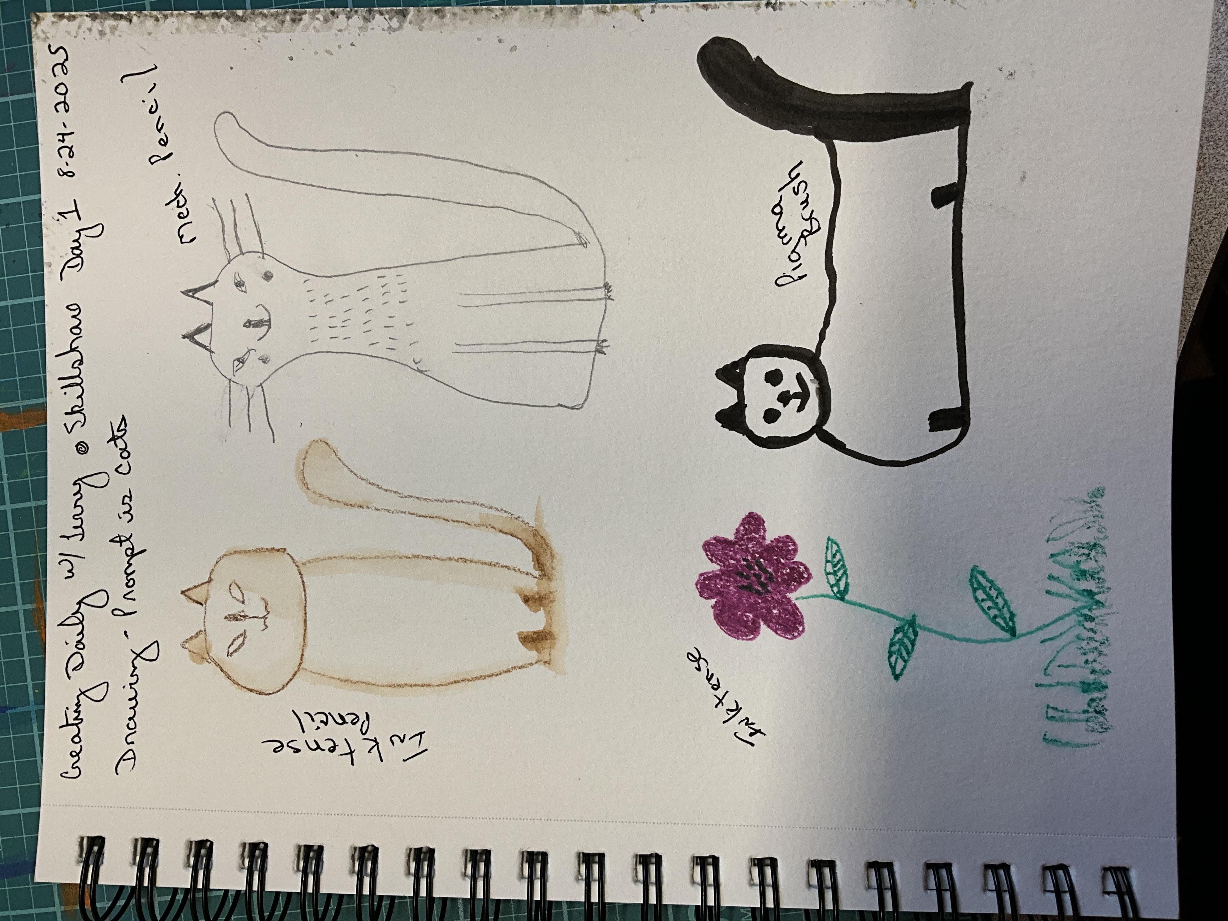 more-projects-from-class-img