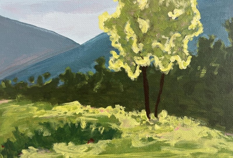 Backlight Landscape