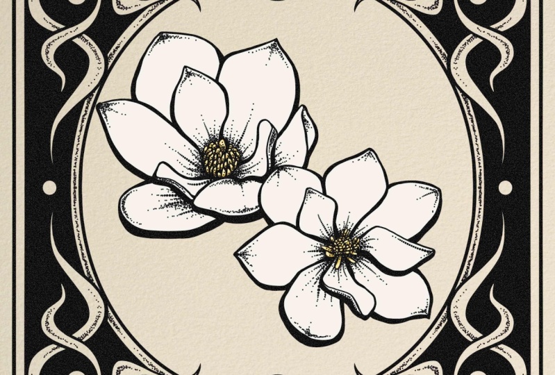 Magnolia flowers