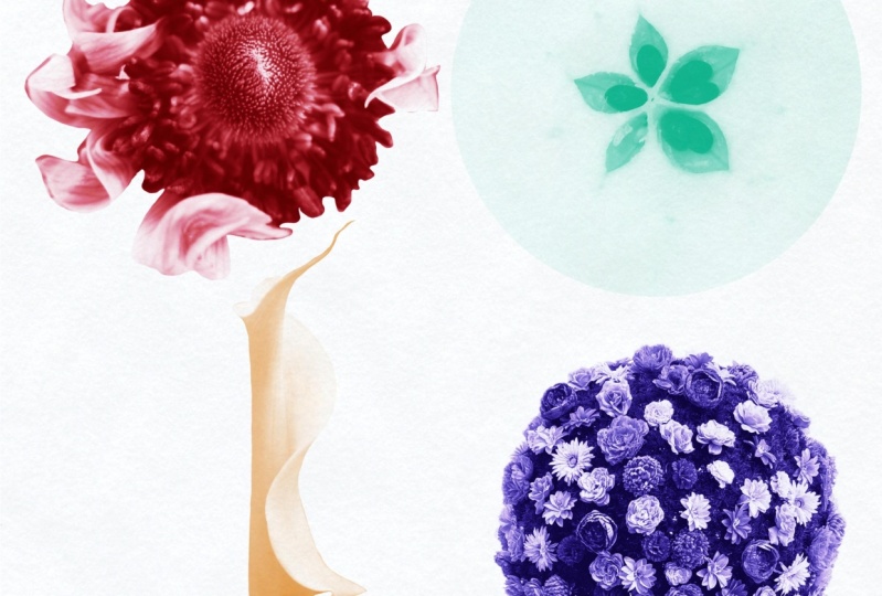 Fruit and Flowers