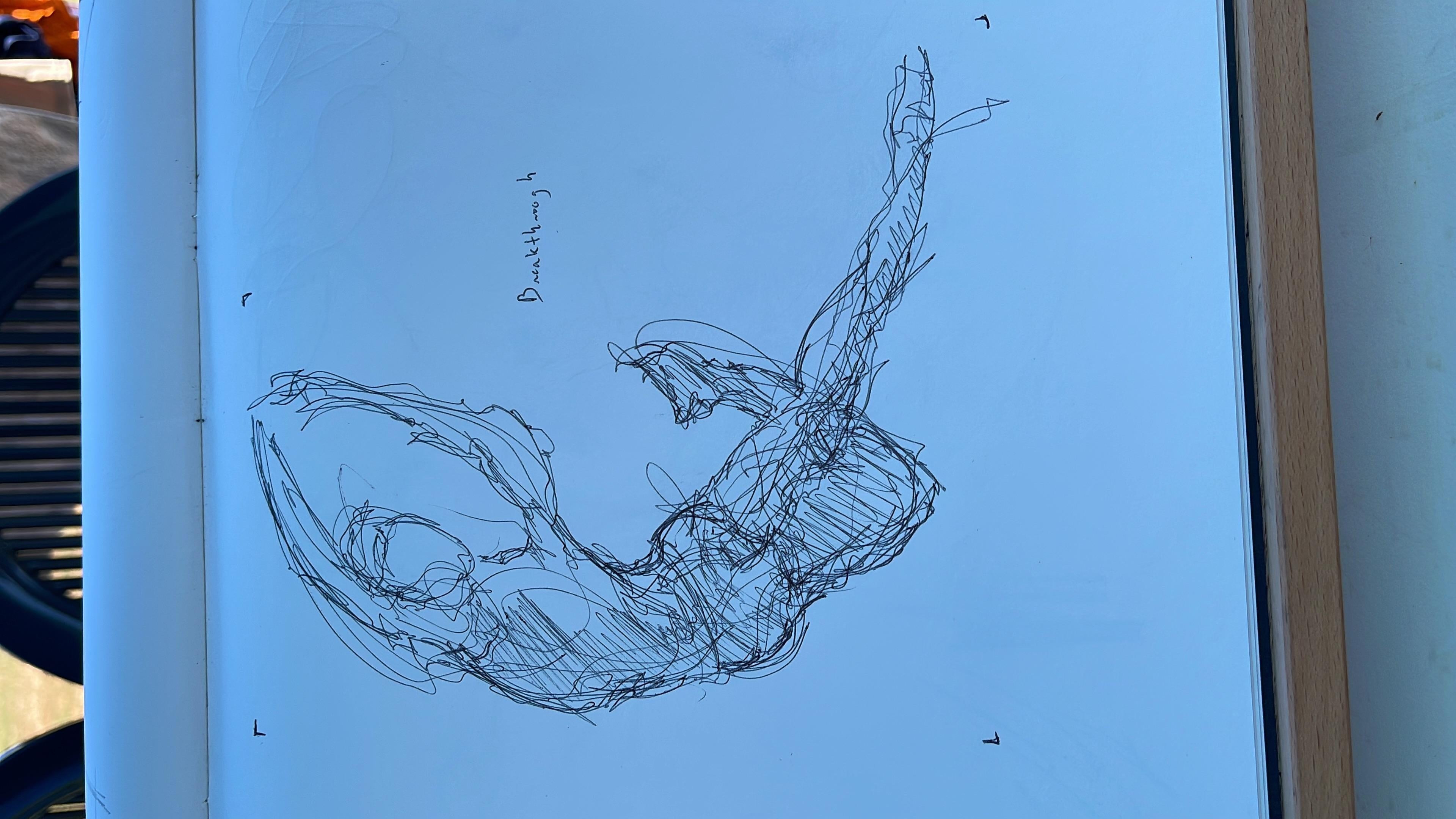 more-projects-from-class-img