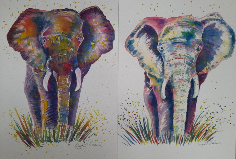 elephants