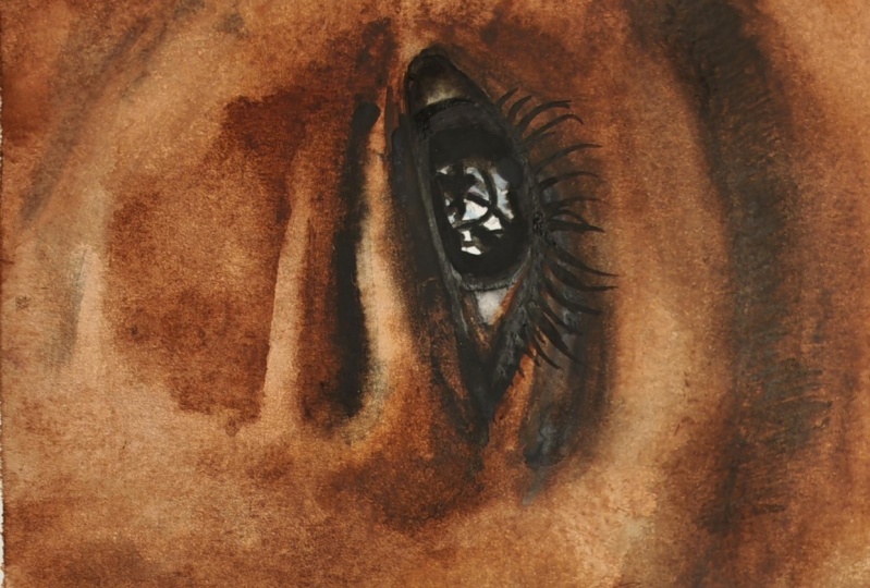 Ojo