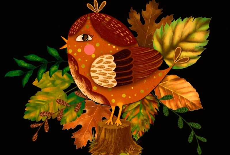 Bird