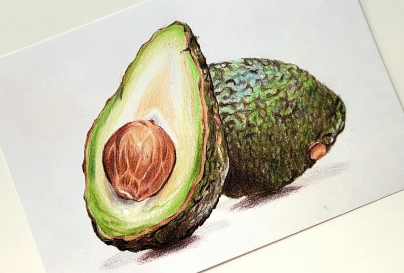 Palta