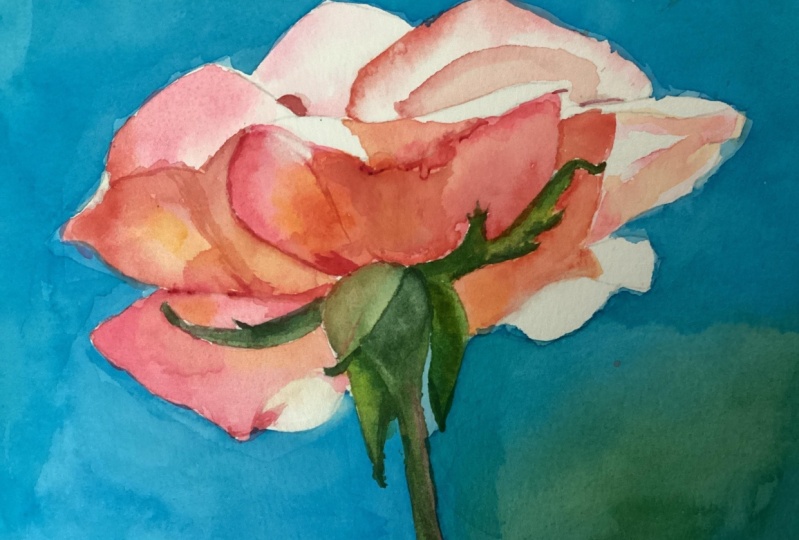 A rose, a tutorial from Krzysztof Kowalski
