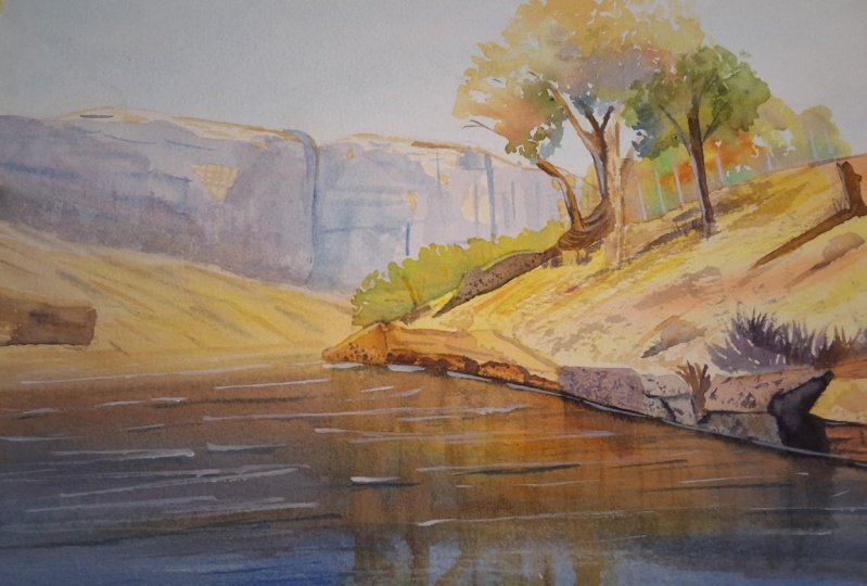 Sunlit  landscape