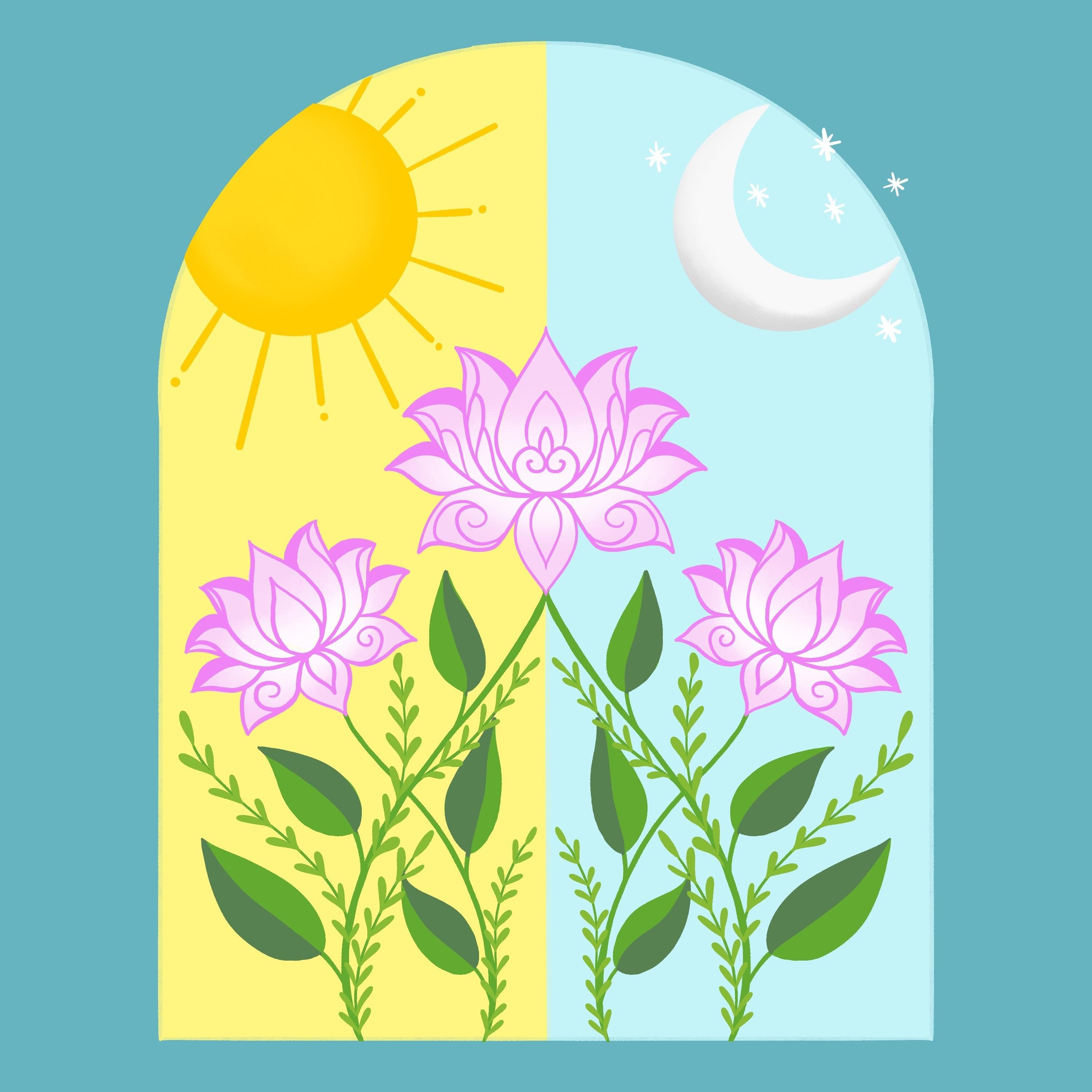 more-projects-from-class-img