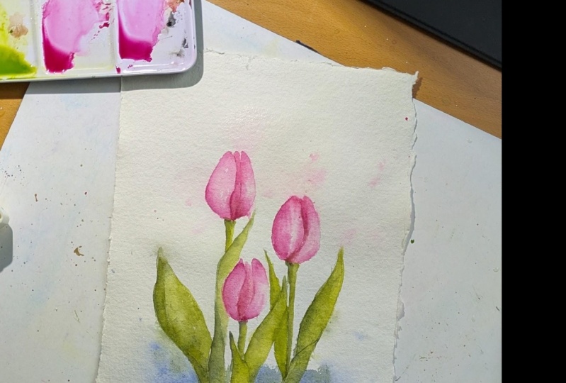 Tulips with Snehal