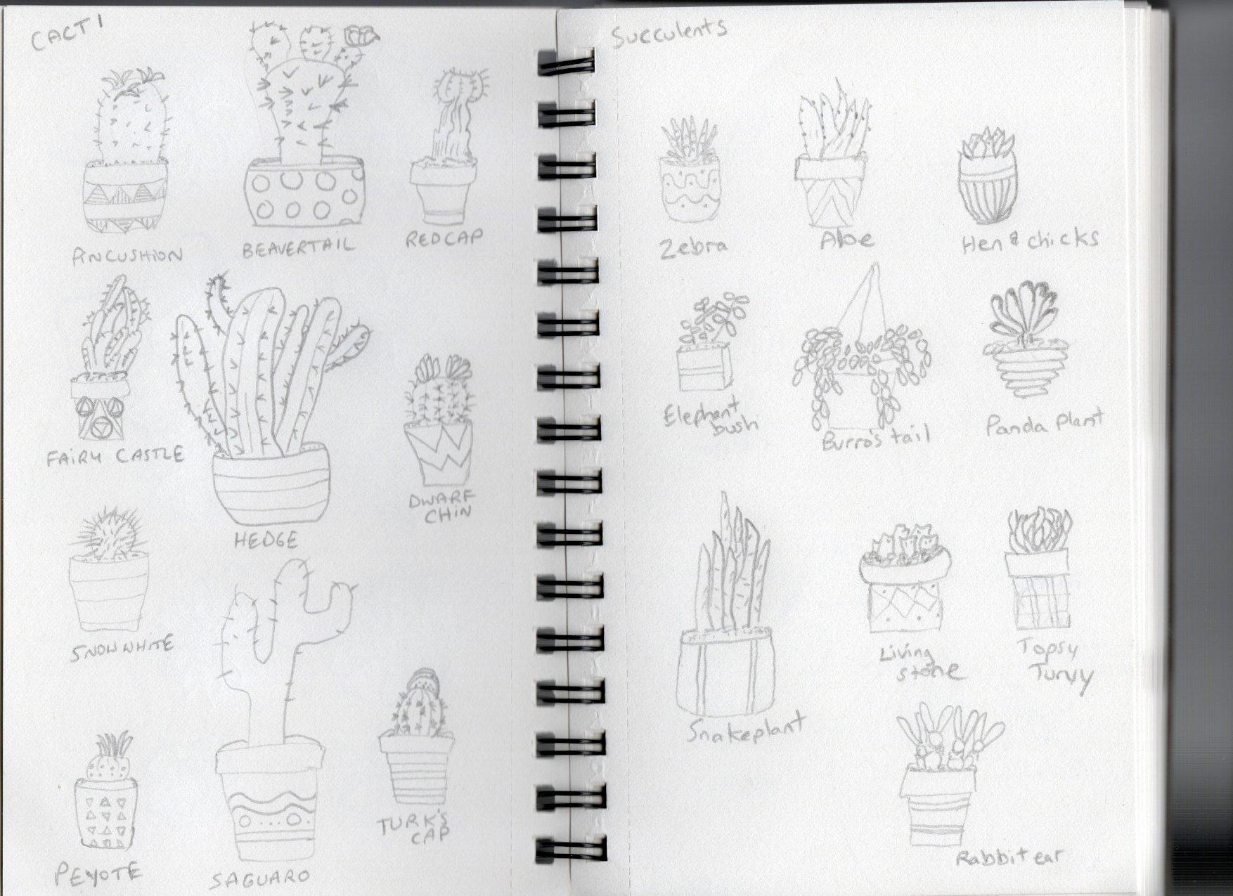more-projects-from-class-img