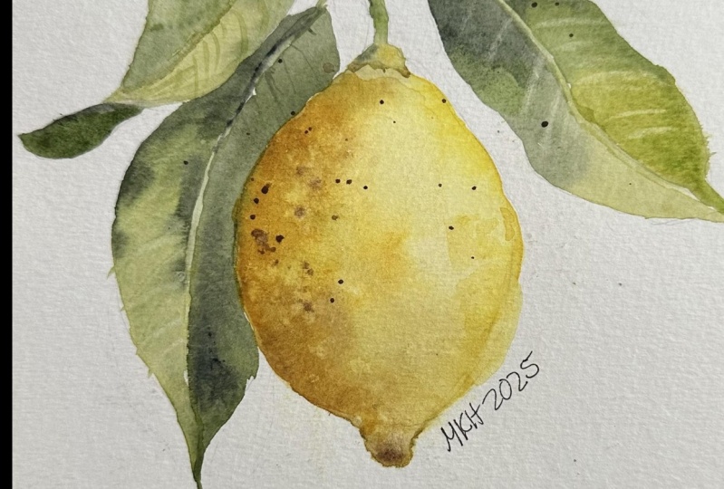 Lemon Part 1