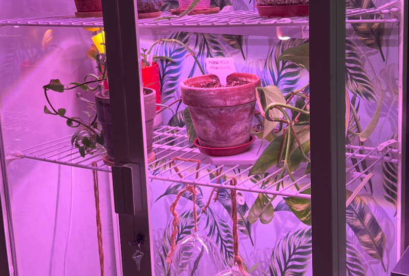 Ikea Greenhouse happy place