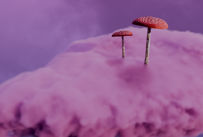 Pink Mushroom