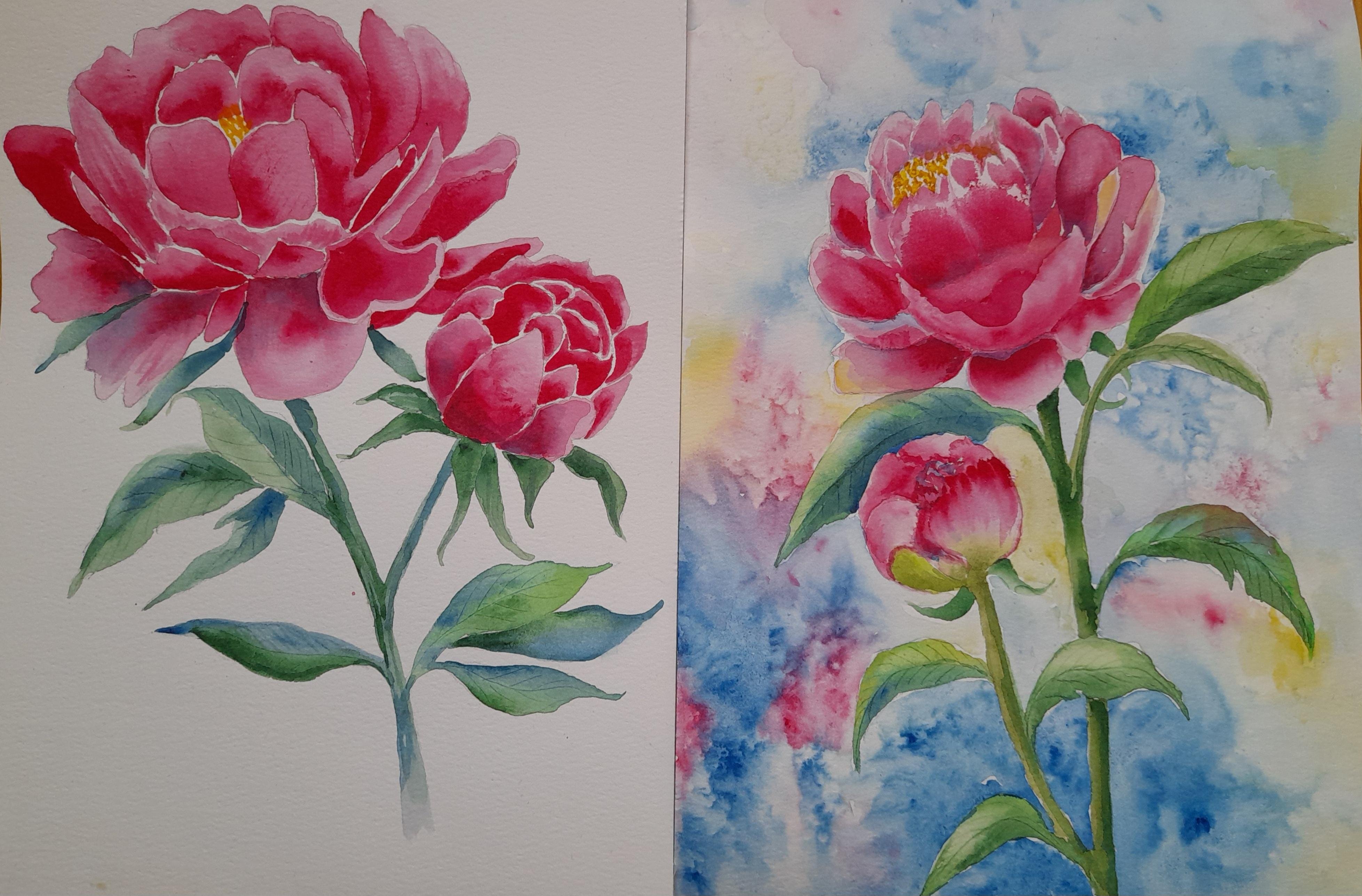 peonies - student project