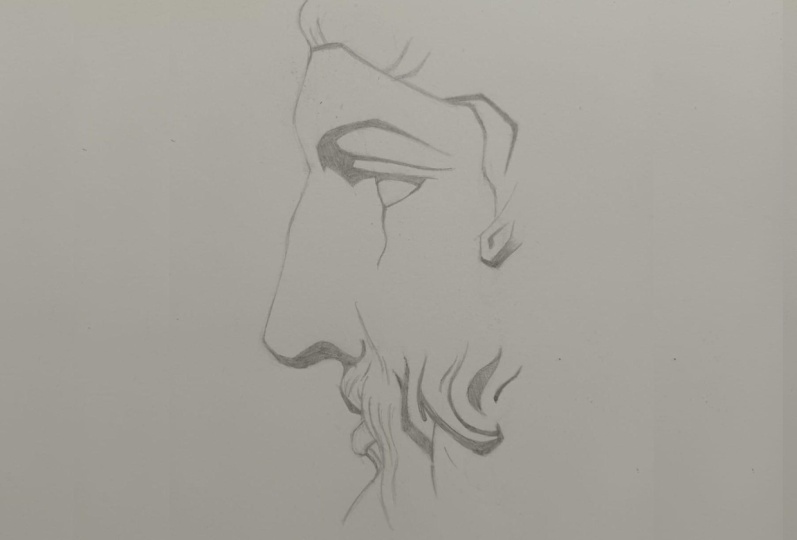 Comparative Drawing: Face