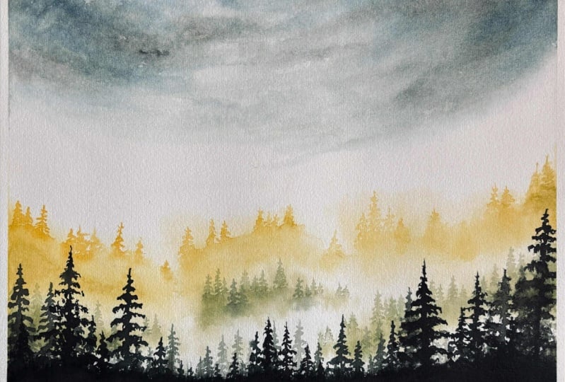 misty forest_my learning process