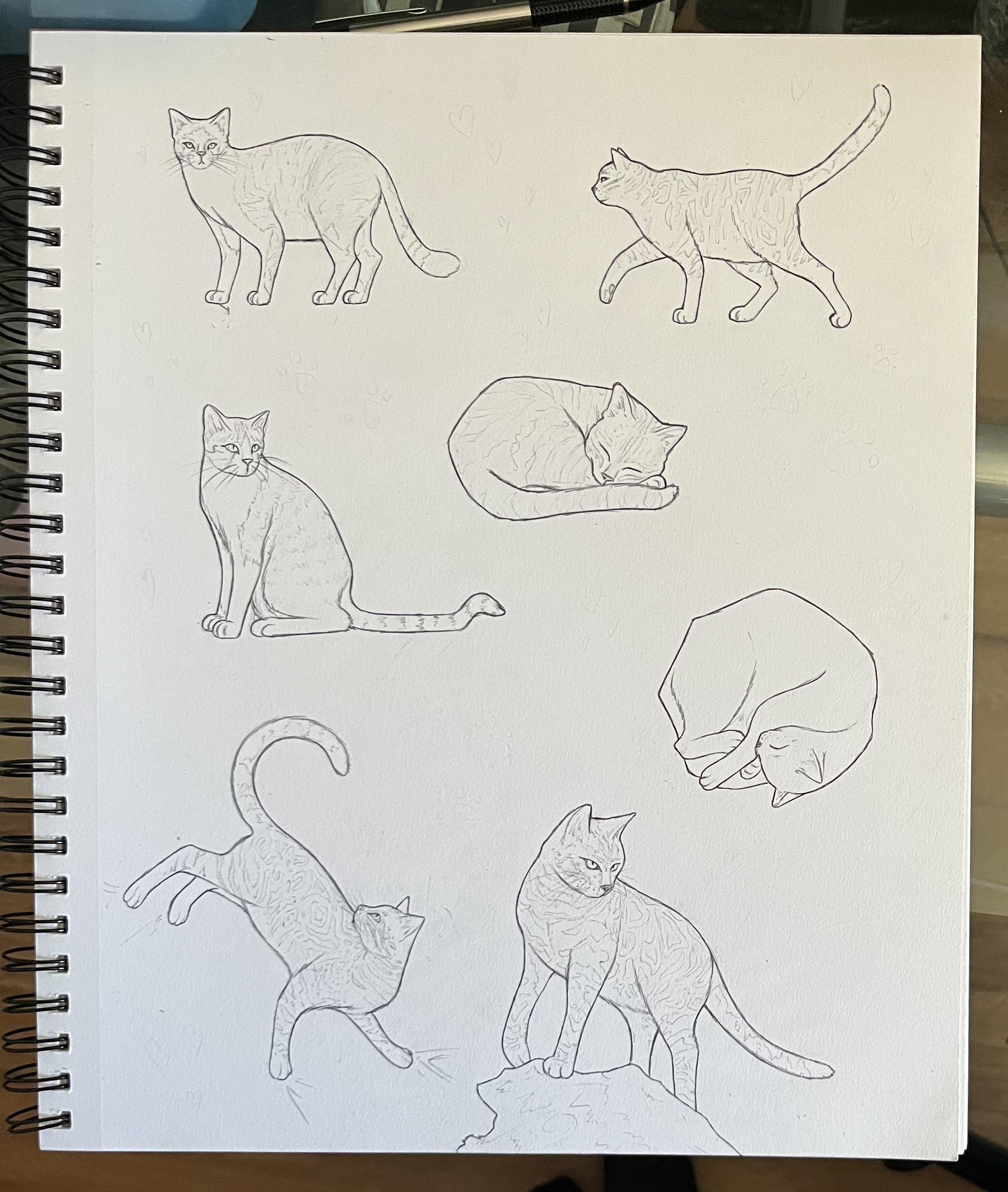 more-projects-from-class-img