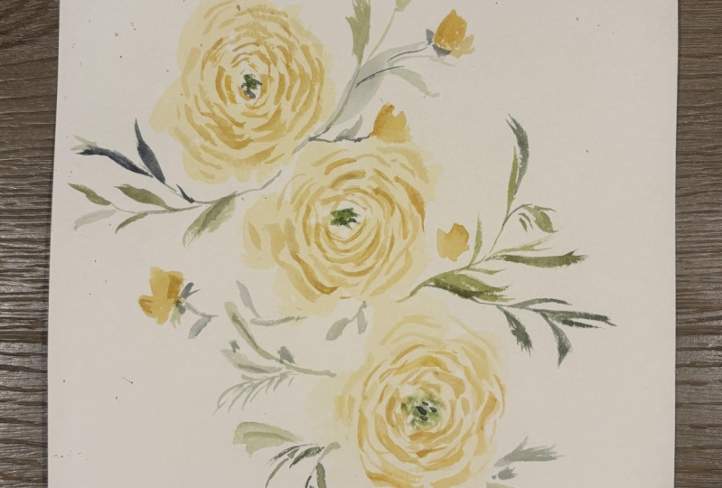 Ranunculus