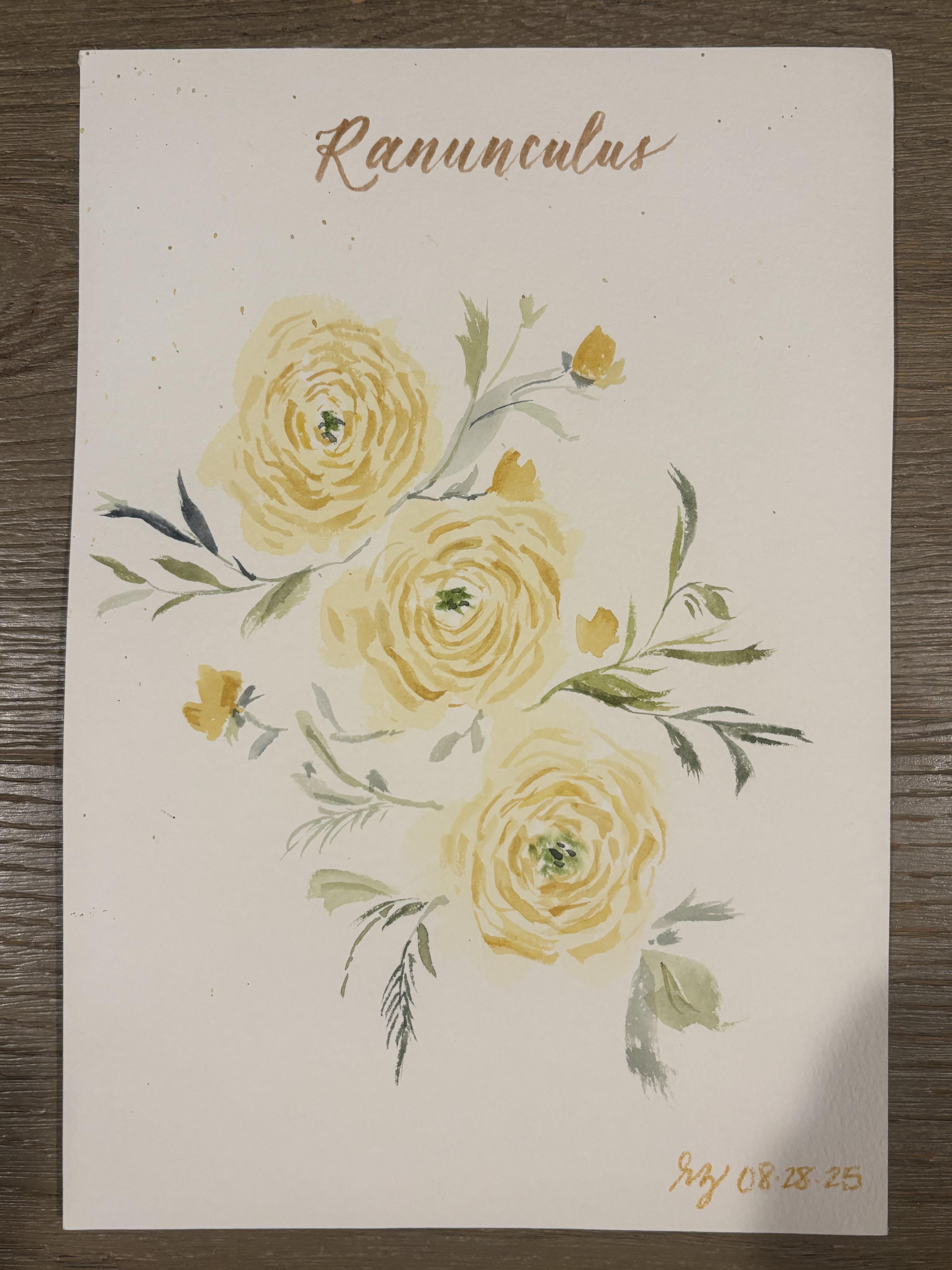 Ranunculus - student project